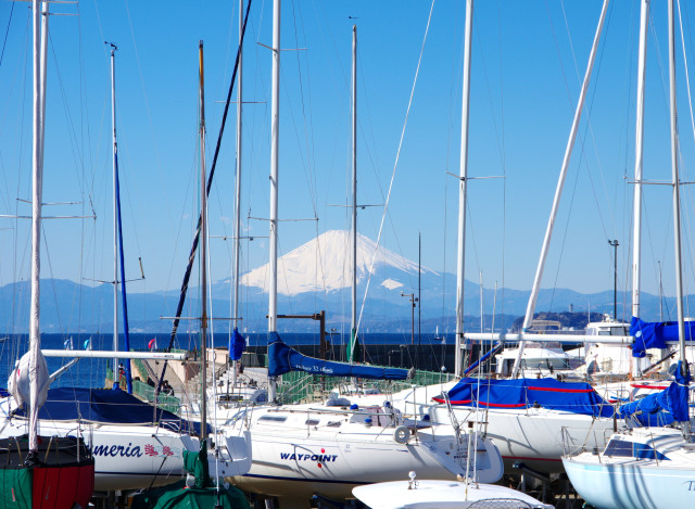 葉山マリーナ